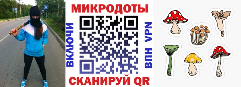 Псилоцибиновые грибы Psilocybine cubensis  Купить закладки  Россошь 